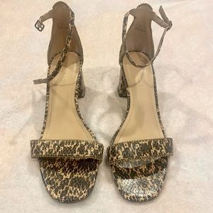 Coach block heels. Ankle strap, leopard print. Size 9.